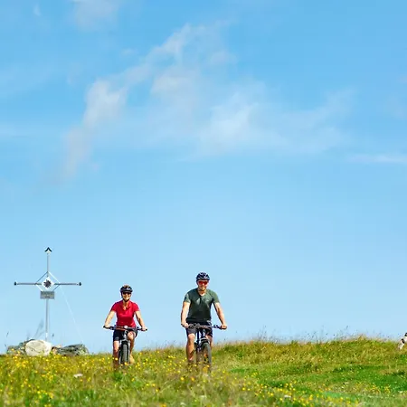 Almhuettendorf Klippitztoerl Tatil Evi
